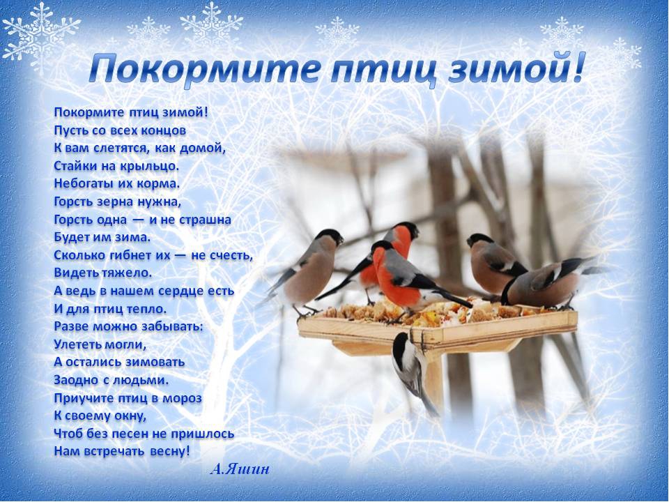 Покормите птиц зимой!.